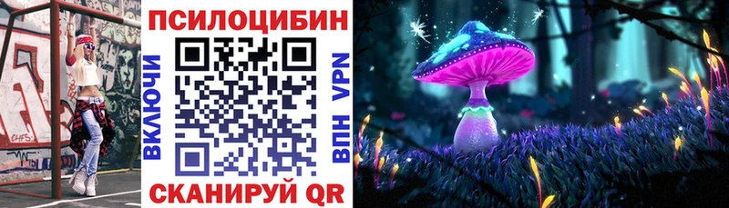 KRAKEN вход  Елизаветинская  Псилоцибиновые грибы MAGIC MUSHROOMS 